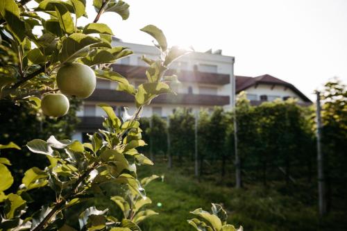 an apple tree with a building in the background at Hotel Gantkofel in Andrian