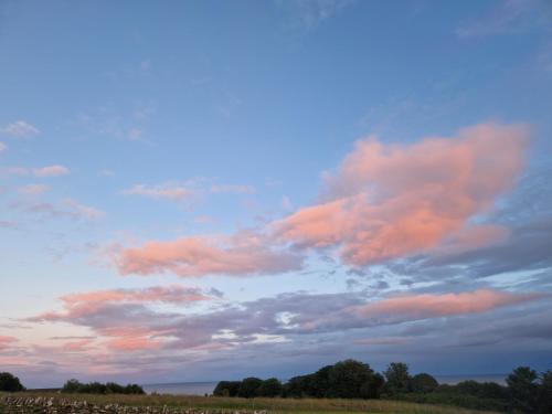 a cloudy sky with a herd of sheep in a field at Byrnside Lodge in Latheron