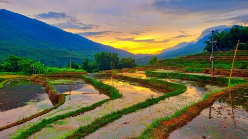 Landskap semula jadi dekat dengan lodge