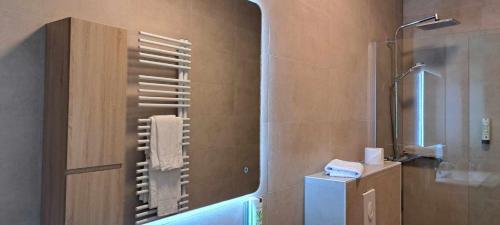 a bathroom with a shower and a towel rack at Hotel Ehnen in Ehnen