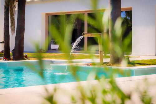 Bazén v ubytování Palm Beach Resort nebo v jeho okolí