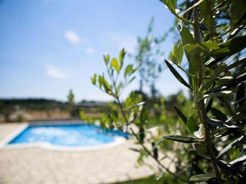 Villa Marčeta Authentic Stay in Istria