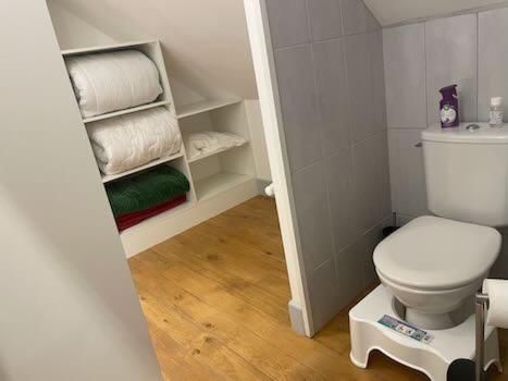 a small bathroom with a white toilet and towels at O et Terre, gite ressourcement bains spa cryo sauna et foret in Dormelles