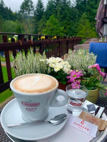 a cup of coffee sitting on a plate on a table at Horský Hotel Podjavorník in Papradno