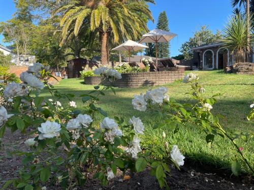 Giardino di Boutique Villa Guesthouse