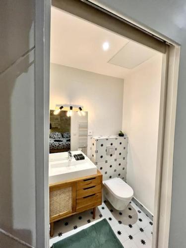 une salle de bain avec un lavabo, des toilettes et un miroir dans l'établissement Petit loft en centre historique, à Bordeaux
