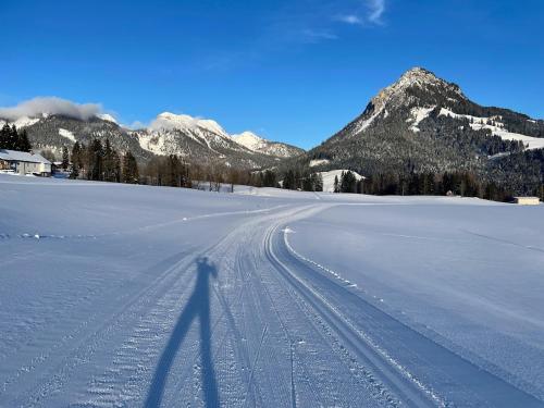 Tauplitzrausch Lodge en invierno