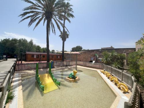 a pool with slides and a playground with a palm tree at PortBlue Club Pollentia Resort & Spa in Alcudia