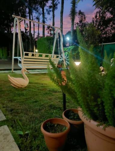 a park with two potted plants and a swing at Tigerwoods Cottage in Chikmagalūr