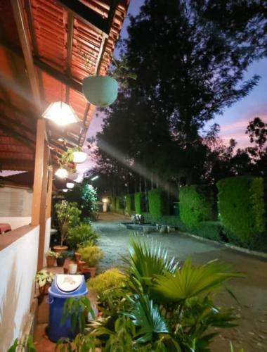 a patio with a bunch of plants and a tennis court at Tigerwoods Cottage in Chikmagalūr