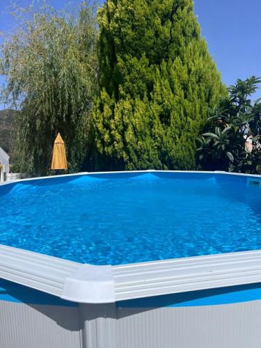 a swimming pool with blue water in front of a tree at Refúgio dos Sapinhos in Silves