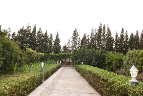 Giardino di Villa écologique Jnane Yaya