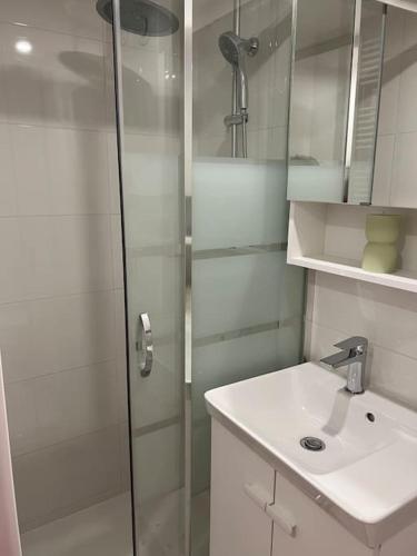 une salle de bain blanche avec une douche et un lavabo dans l'établissement Studio indépendant Disney-Vallée, à Gretz-Armainvilliers