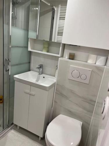 une petite salle de bain avec toilettes et lavabo dans l'établissement Studio indépendant Disney-Vallée, à Gretz-Armainvilliers