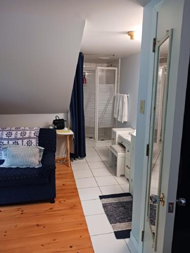 a living room with a couch and a sink at Auberge la maison sous les pins in Saint-Joseph-de-la-Rive