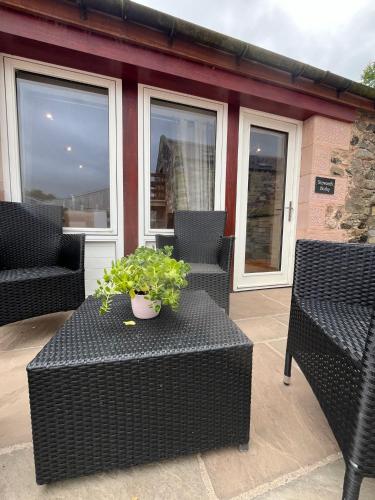 a table with a potted plant on a patio at Stewards Bothy in Cornhill-on-tweed