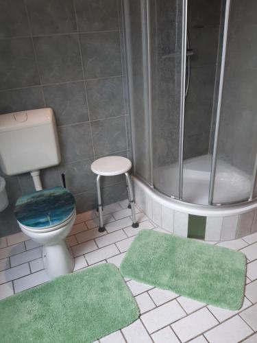a bathroom with a shower and a toilet and green mats at Ferienwohnung JAGODA in der Lüneburger Heide in Frankenfeld