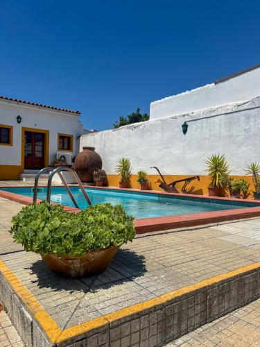 a swimming pool with a bowl of plants next to it at Casa de São Cucufate - Casa de Campo in Vila de Frades
