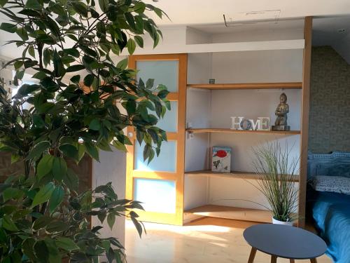 une chambre avec une plante et une étagère à livres dans l'établissement Petit cocon centre ville, à Gagny
