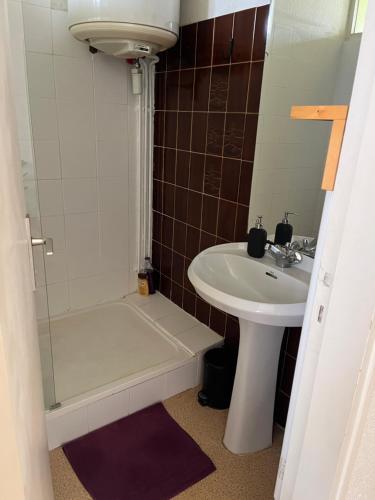 une salle de bain avec un lavabo et une douche dans l'établissement Studio dans le centre, à Bordeaux