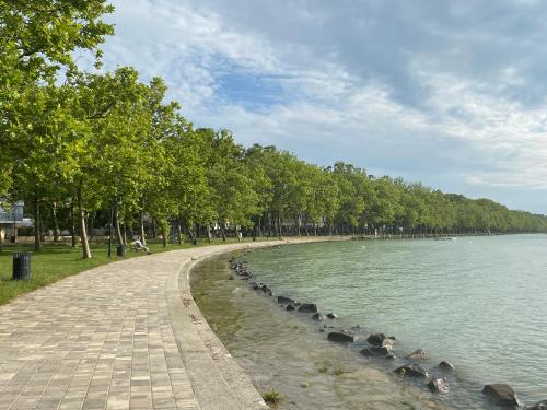 a path next to a body of water with trees at Aranyhíd Apartman in Balatonföldvár