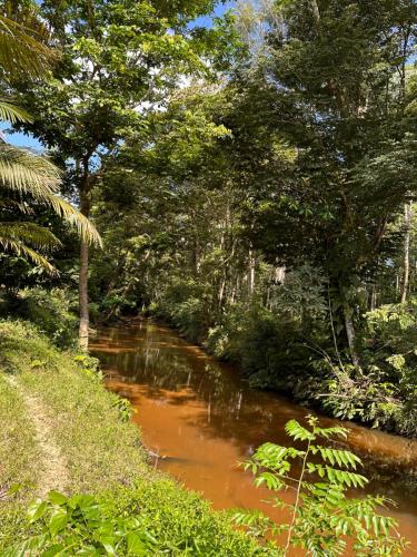 Gallery image of Reserva Îkü Amazonas in Leticia