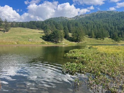 a body of water with trees in the background at Ninette, intimità e natura in Sauze di Cesana
