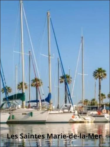 a group of boats sitting in the water at Studio mi casa es su casa in Vauvert
