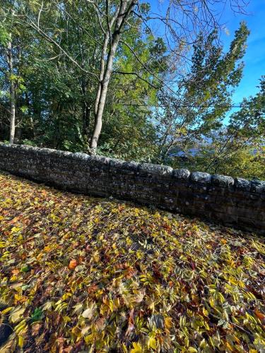 a pile of leaves on the ground next to a stone wall at Stewards Bothy in Cornhill-on-tweed
