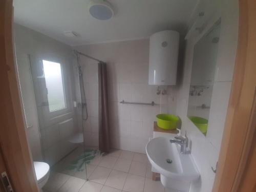 a bathroom with a sink and a toilet and a shower at Osada Szwedzka Domek Plus in Rusinowo