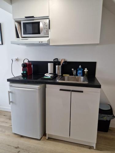 une cuisine avec un évier et un micro-ondes dans l'établissement Faubourg des voyageurs 5 - Studio climatisé 2 personnes - proche axe autoroute, à Saran