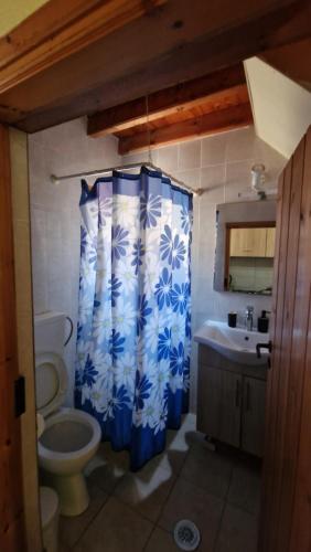 a bathroom with a toilet and a blue shower curtain at Stenakas Apartments in Chios