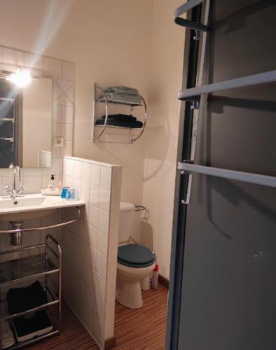 une salle de bain avec toilettes, lavabo et miroir dans l'établissement Gîte en Provence, à Entraigues-sur-la-Sorgue