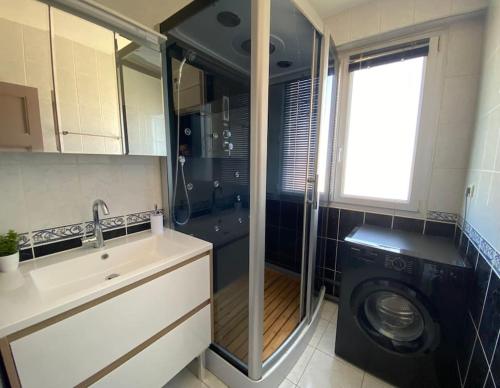 une cuisine avec une machine à laver et un évier dans l'établissement Appartement 6 couchages près CHU - Daguerre, à Clermont-Ferrand