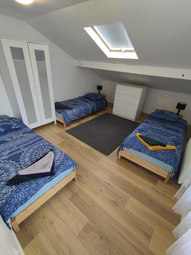 a bedroom with two beds and a skylight at Un deux pièces et un jardin à Villejuif in Villejuif