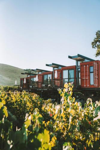 a row of train cars in a field of flowers at Geneseo Inn in Paso Robles