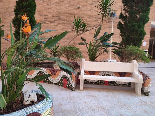 Jardín al aire libre en APCOSTAS Torremar - Oropesa