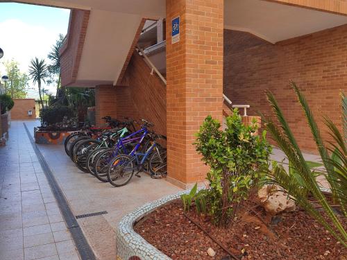 Montar en bicicleta en APCOSTAS Torremar - Oropesa o alrededores