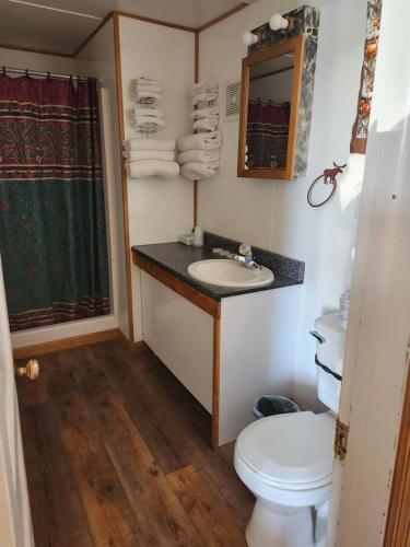 Bilik mandi di Antler Motel
