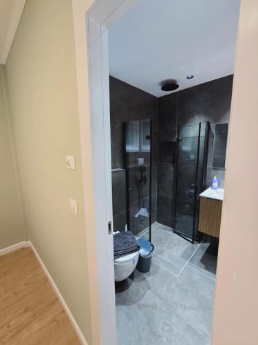 a bathroom with a shower and a toilet and a sink at GK apartments Ballerina in Bat Yam