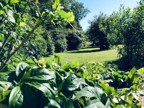 a garden with green plants and a field of grass at T-TWO Normandia in Nonant