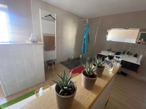 Photo de la galerie de l'établissement Atelier de Boheme, à Le Bourdet