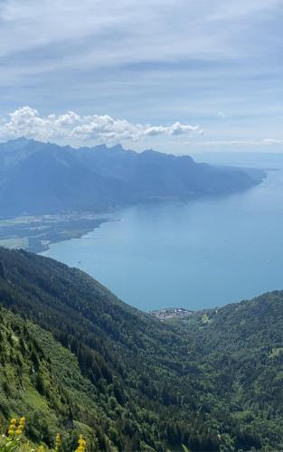a view of a lake from a mountain at Close to Lake & Chillon Castle, New & Comfortable in Veytaux