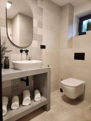 a bathroom with a sink and a toilet and a mirror at bystřice park Chata Voda in Včelákov