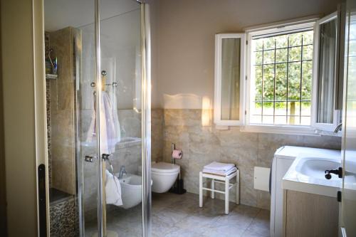 a bathroom with a shower and a toilet and a sink at Casa Luisa in Lesignana
