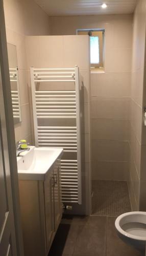 a bathroom with a sink and a toilet at Steenuil in Doetinchem