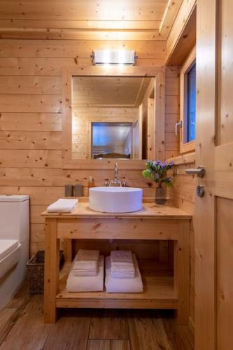 a bathroom with a sink in a wooden wall at Swiss Chalet Skyfall in La Tzoumaz