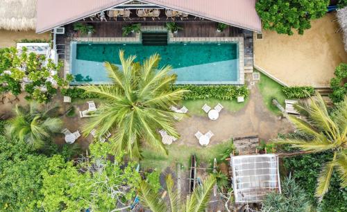 Un jardín fuera de Banana Bunks Mirissa
