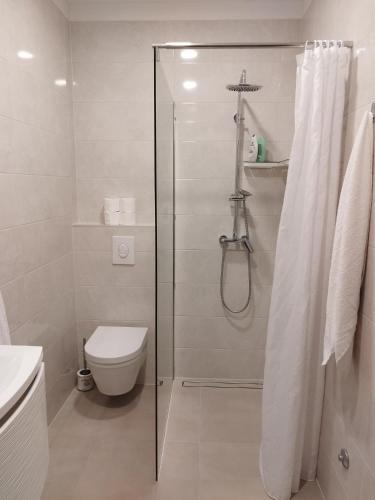 Apartment Nela