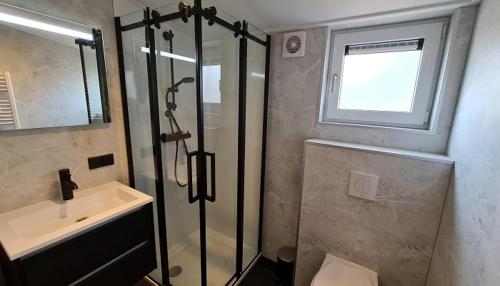 a bathroom with a shower and a sink at Lodgepark 't Vechtdal in Dalfsen